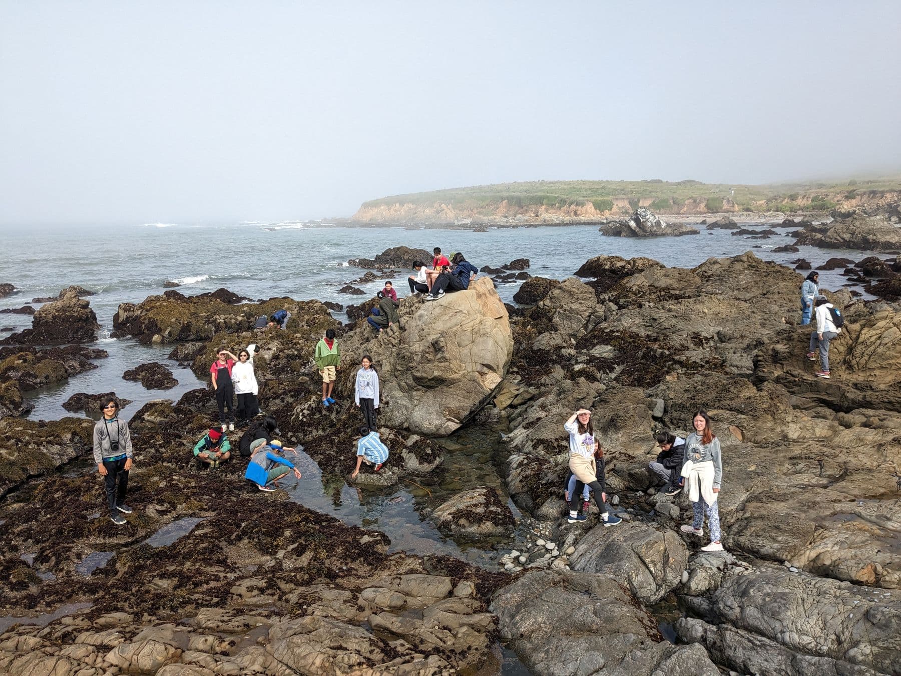 Middle school students exploring tide pools on a rocky stretch of coast