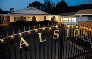 Alsion School Gate